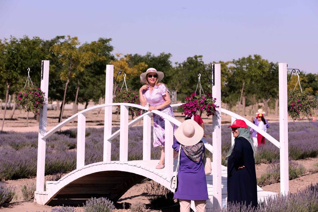 Karatay’ın mor denizi tüm dünyayı peşinden sürükledi! Görmeyen kalmadı 8